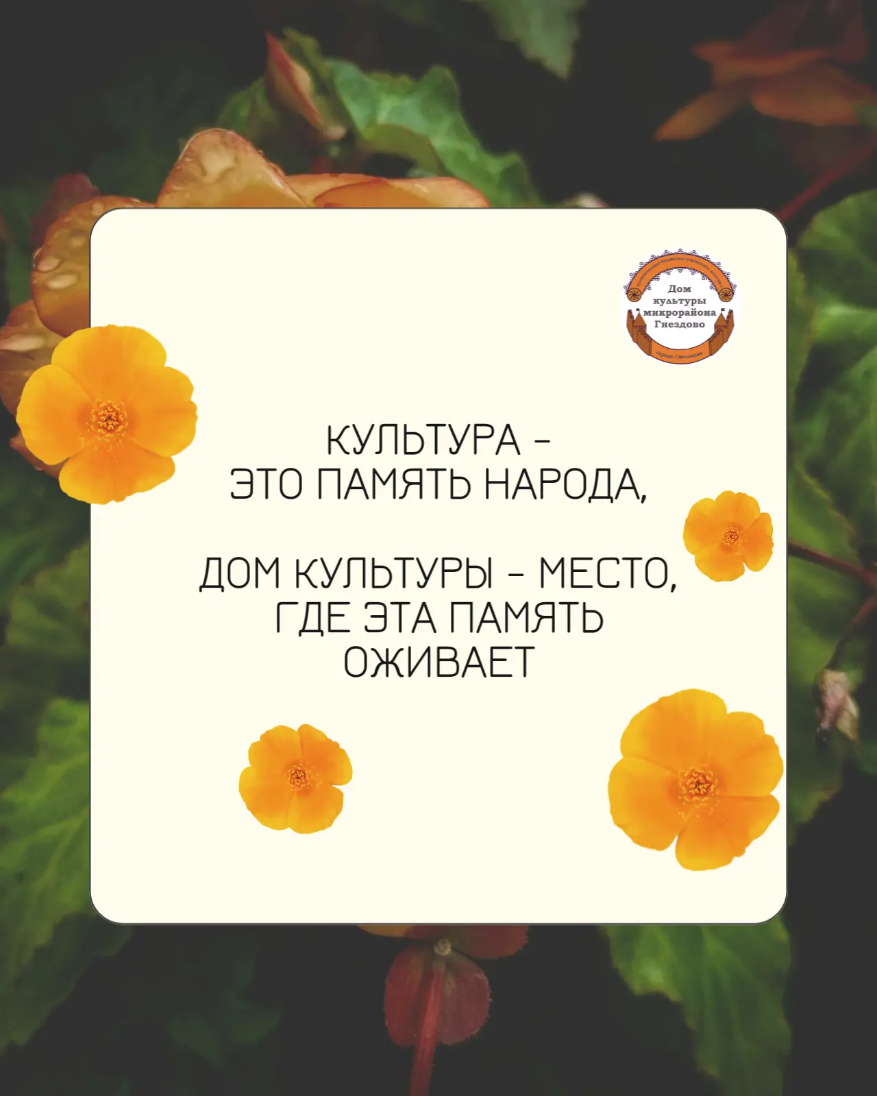 #афоризм