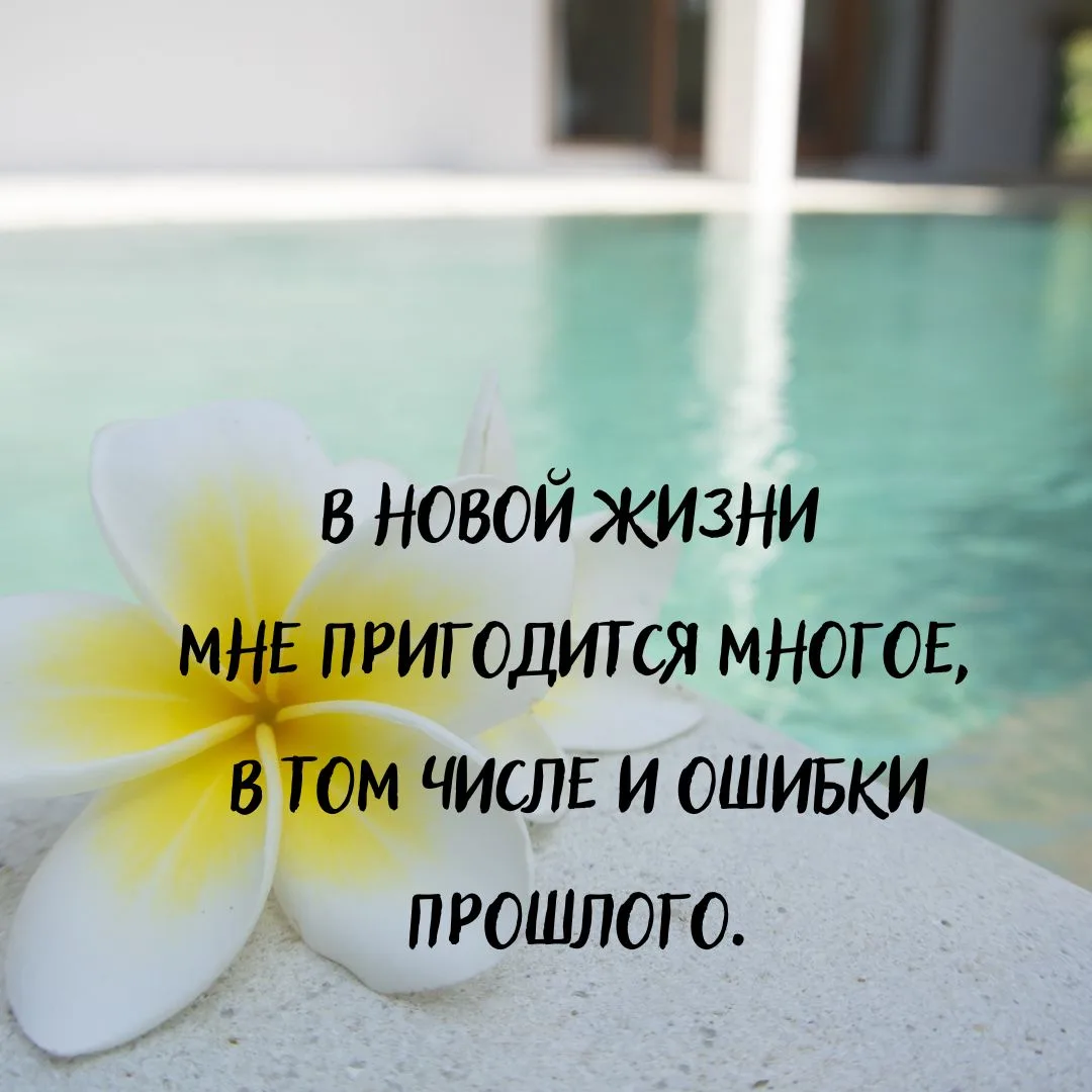 В новой жизни