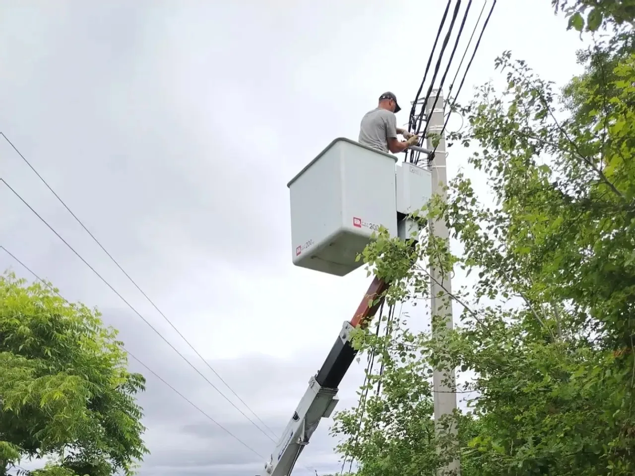 💡В Адлерском районе продолжаются мероприятия по благоустройству территорий

🔗Так сотрудниками МБУ 