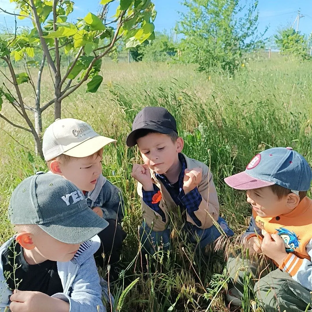 ✨«Жили-были на Дону, на зелёном лугу два цветка. 🌸 Один цветок – ромашка, белая, нежная, скромная, 