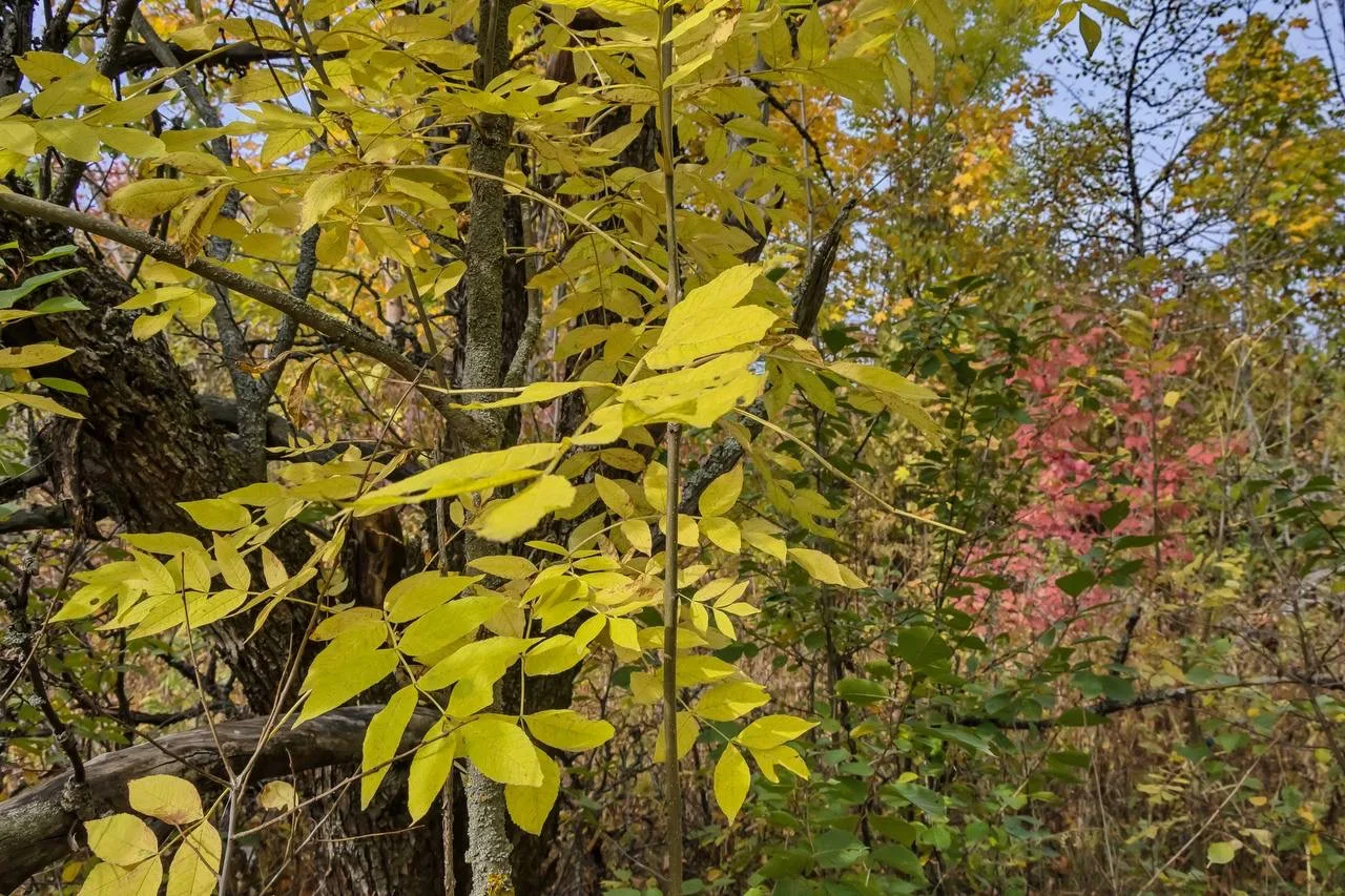 Осень. 🍂