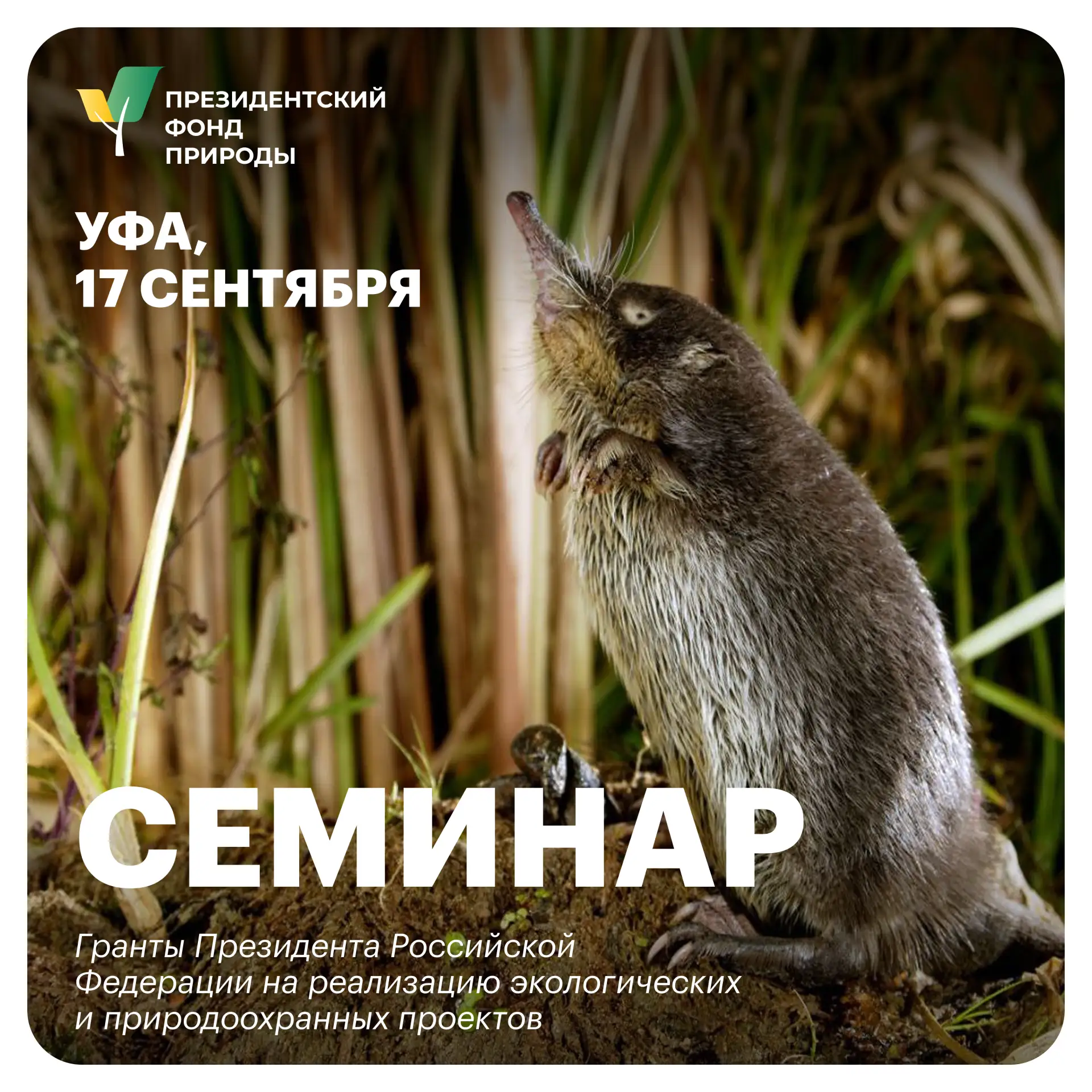 Семинар Президентского фонда природы в Уфе