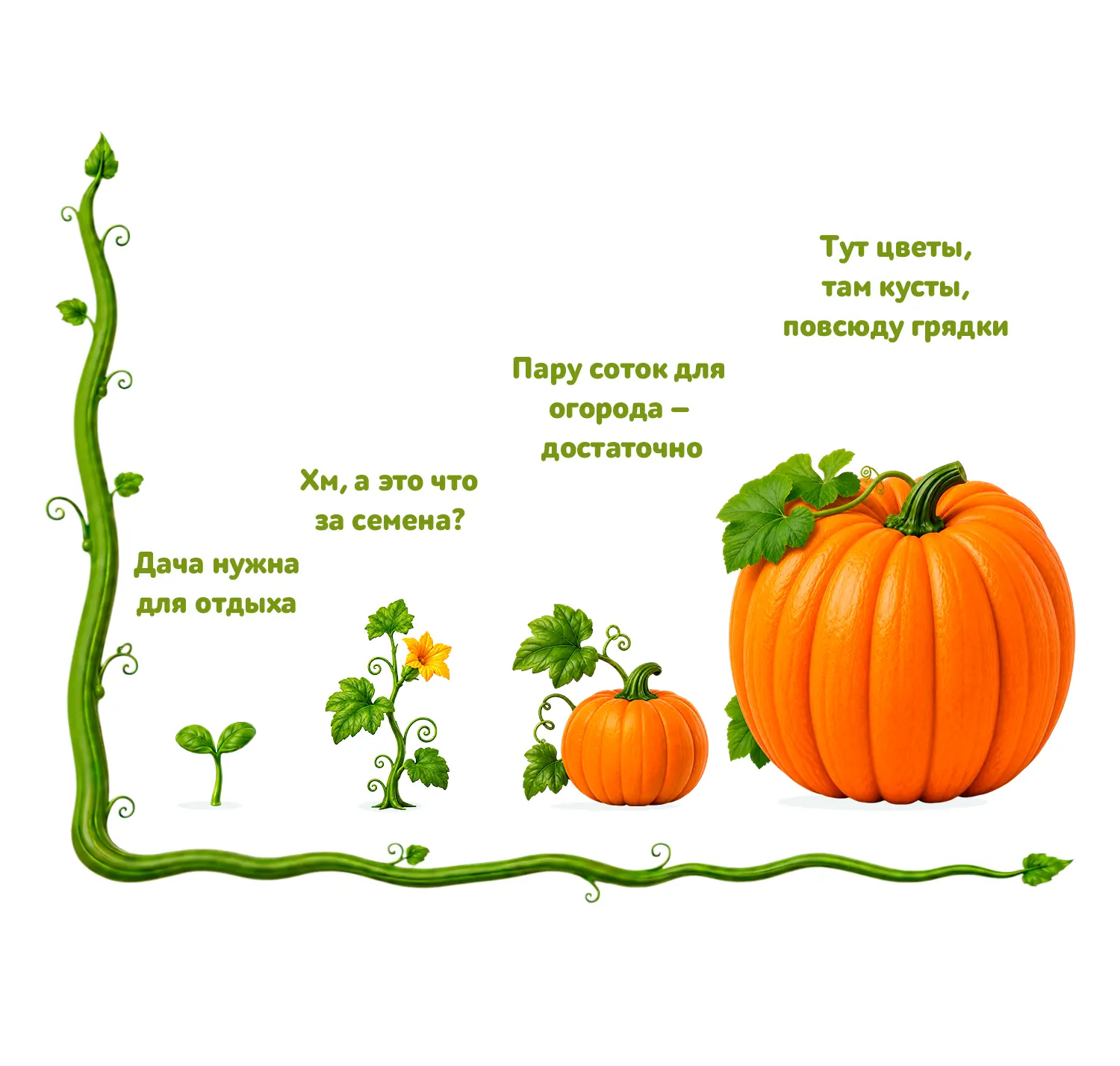 🫑🌶🥬 

График тяги к огороду 

Стоит только начать — и процесс уже не остановить.

Кстати, тыквы в