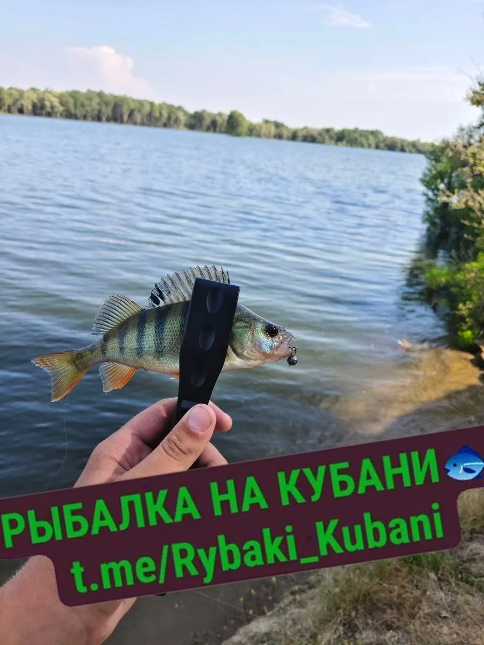 03.07