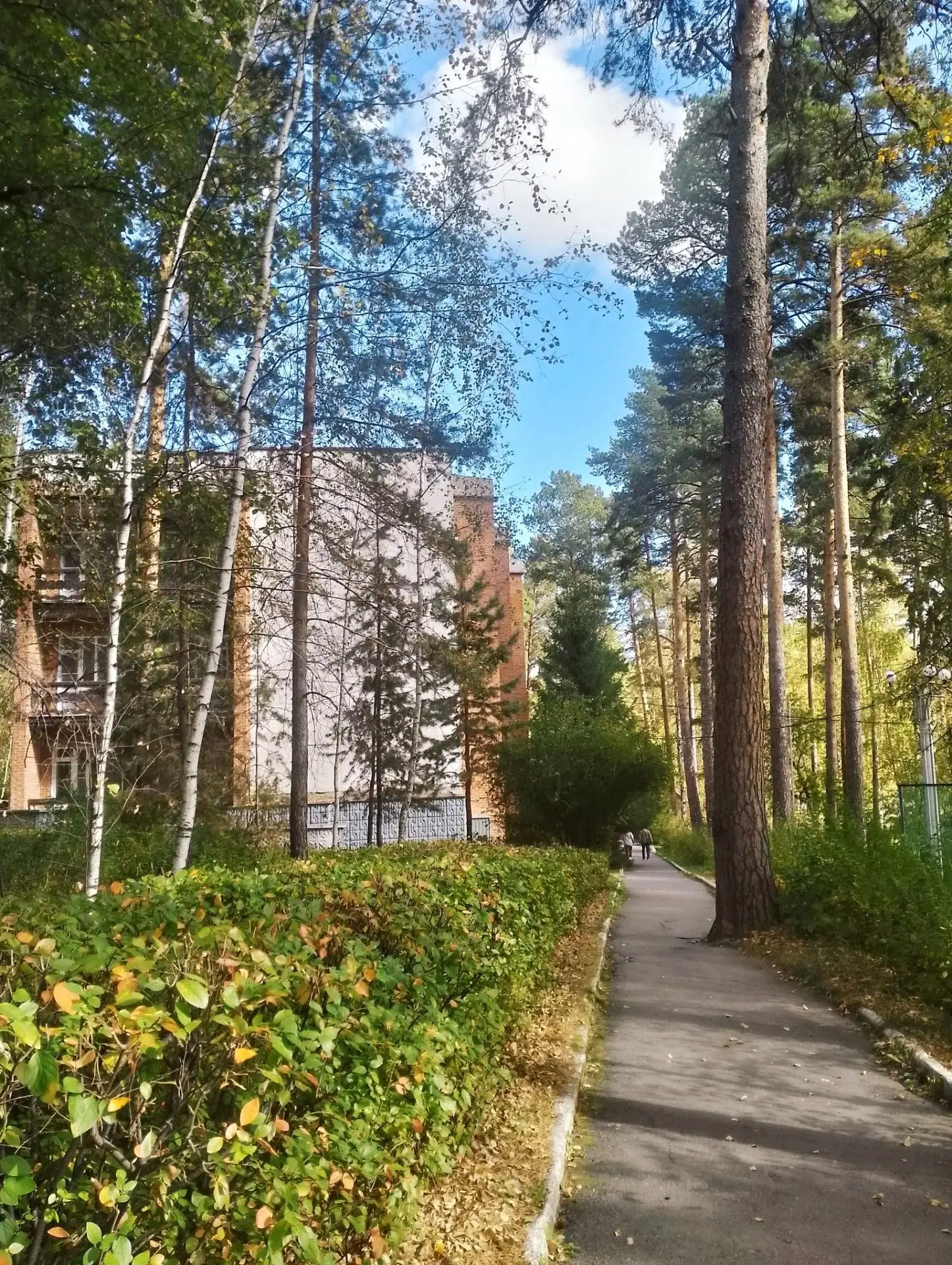 Октябрь крадется по дорожкам,