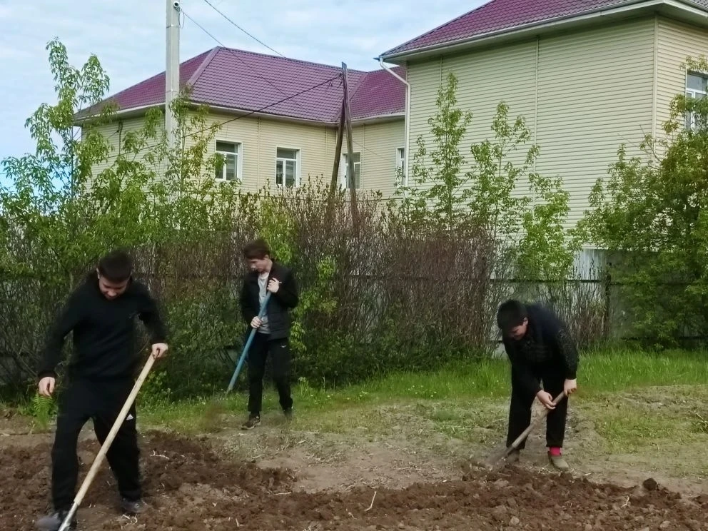 🌱🌿☘️ Зеленый островок 💚

На нашем пришкольном участке открылся новый сезон. Работа закипела. ☝ Хо