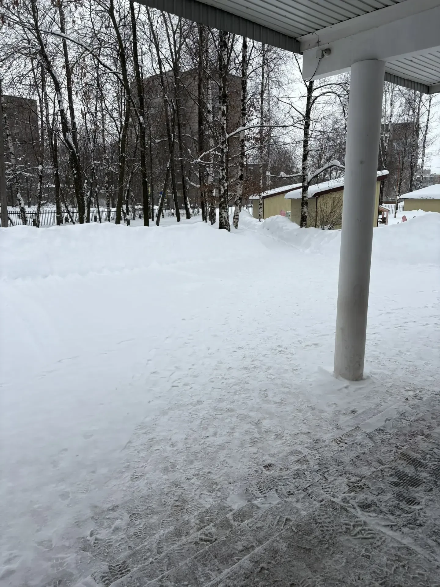 ☃️ Утро в школе начинается с заботы о детях.