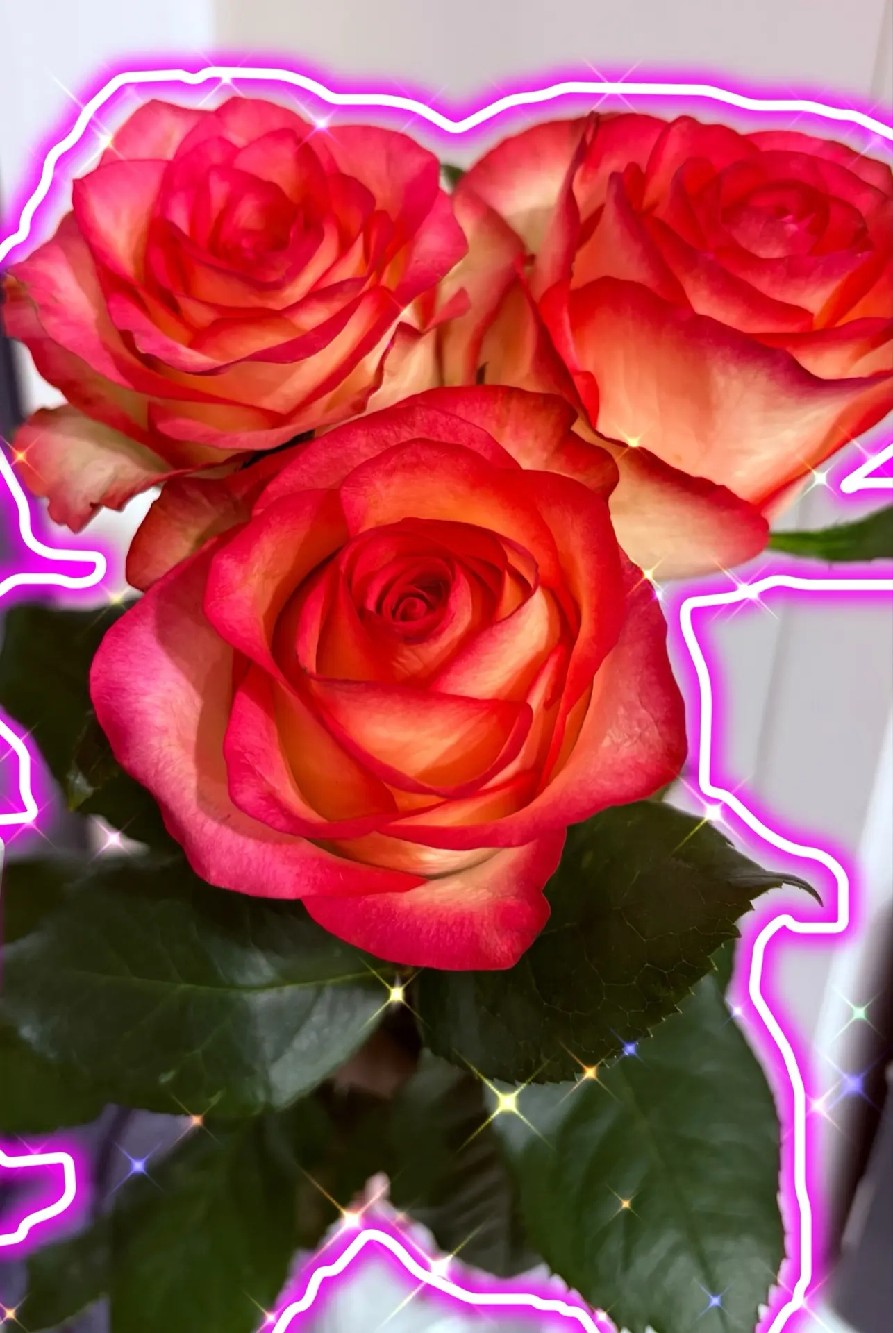 Цветочки от любимого мужа в честь моего профессионального праздника 💐