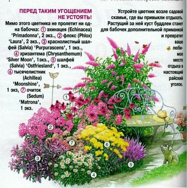Садовые идеи