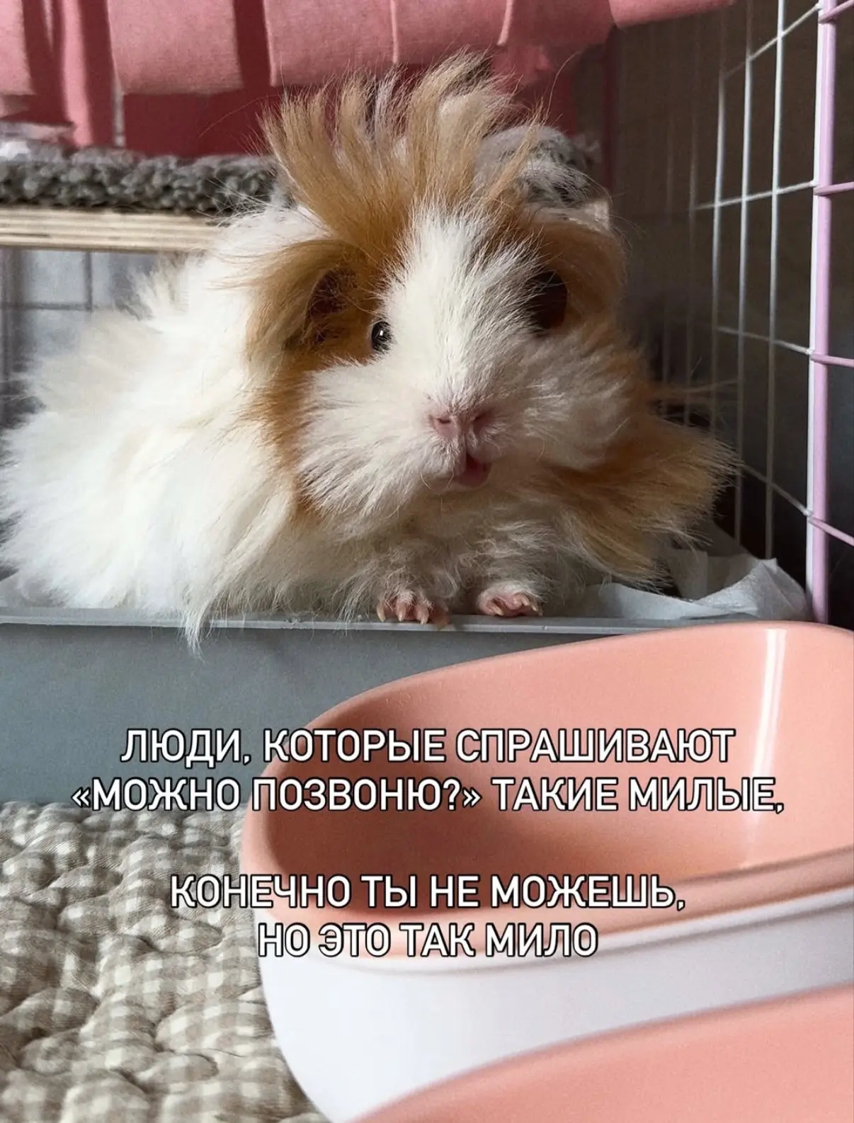 ПЕРВЫЙ МЕМНЫЙ