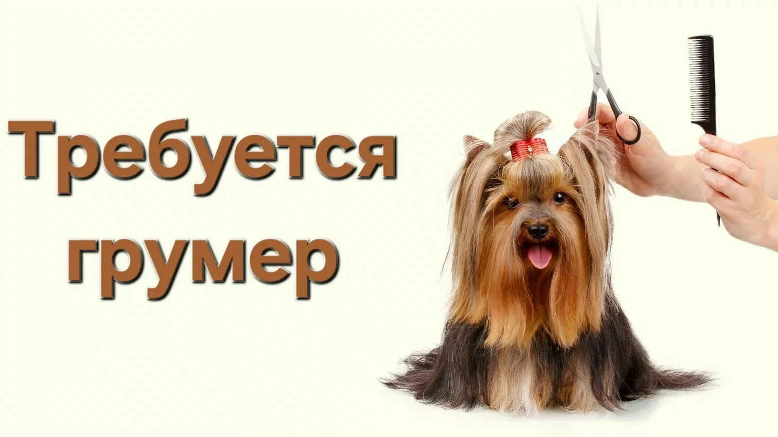 https://vk.ru/id59787916