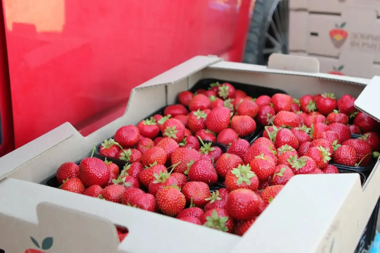 🍓СБОР 20 АВГУСТА🍓