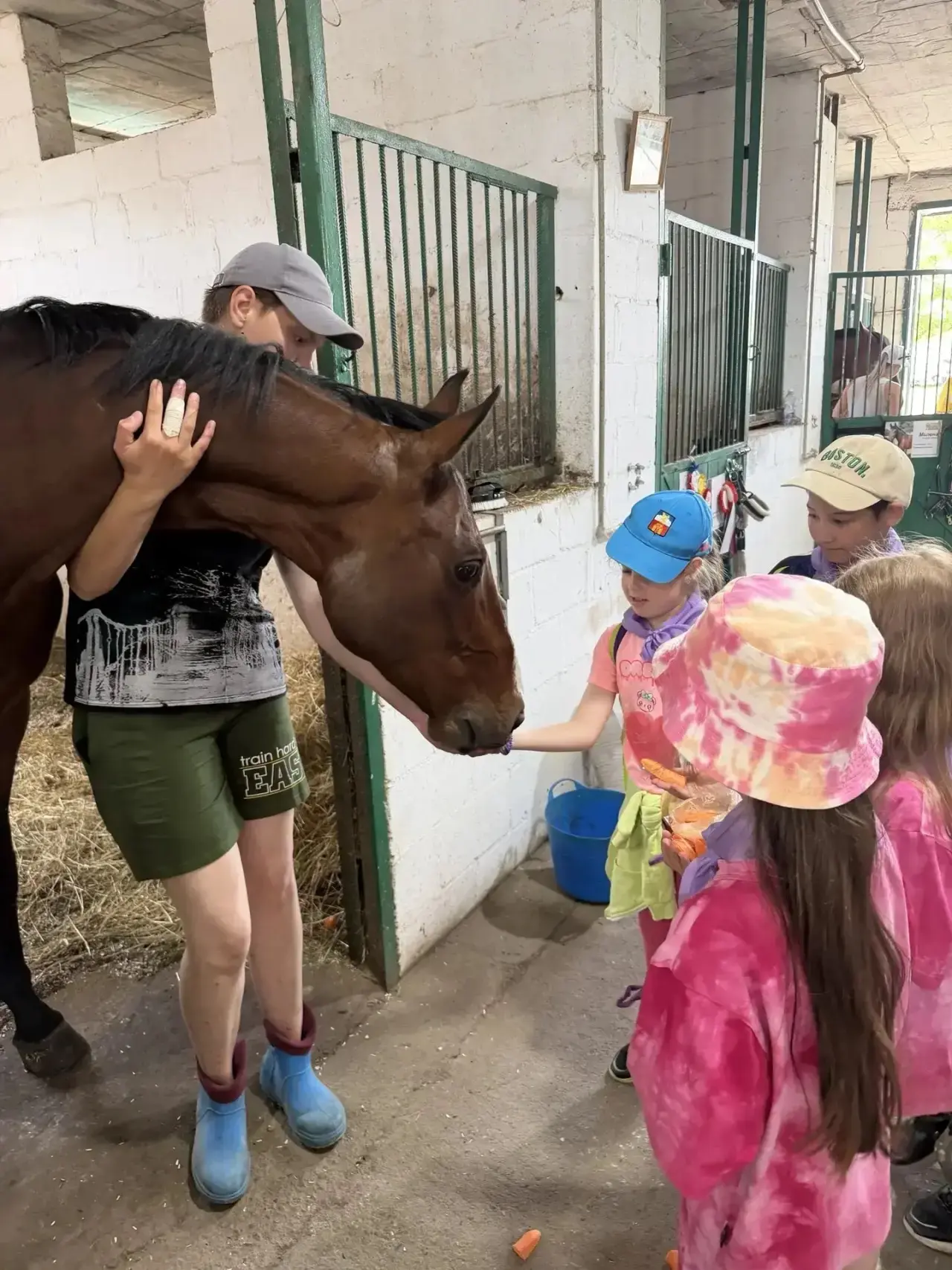 «Счастливое детство»: лошади, игры и мороженое 🐴☀️🍦

Сегодня наши ребята отправились в конный клуб