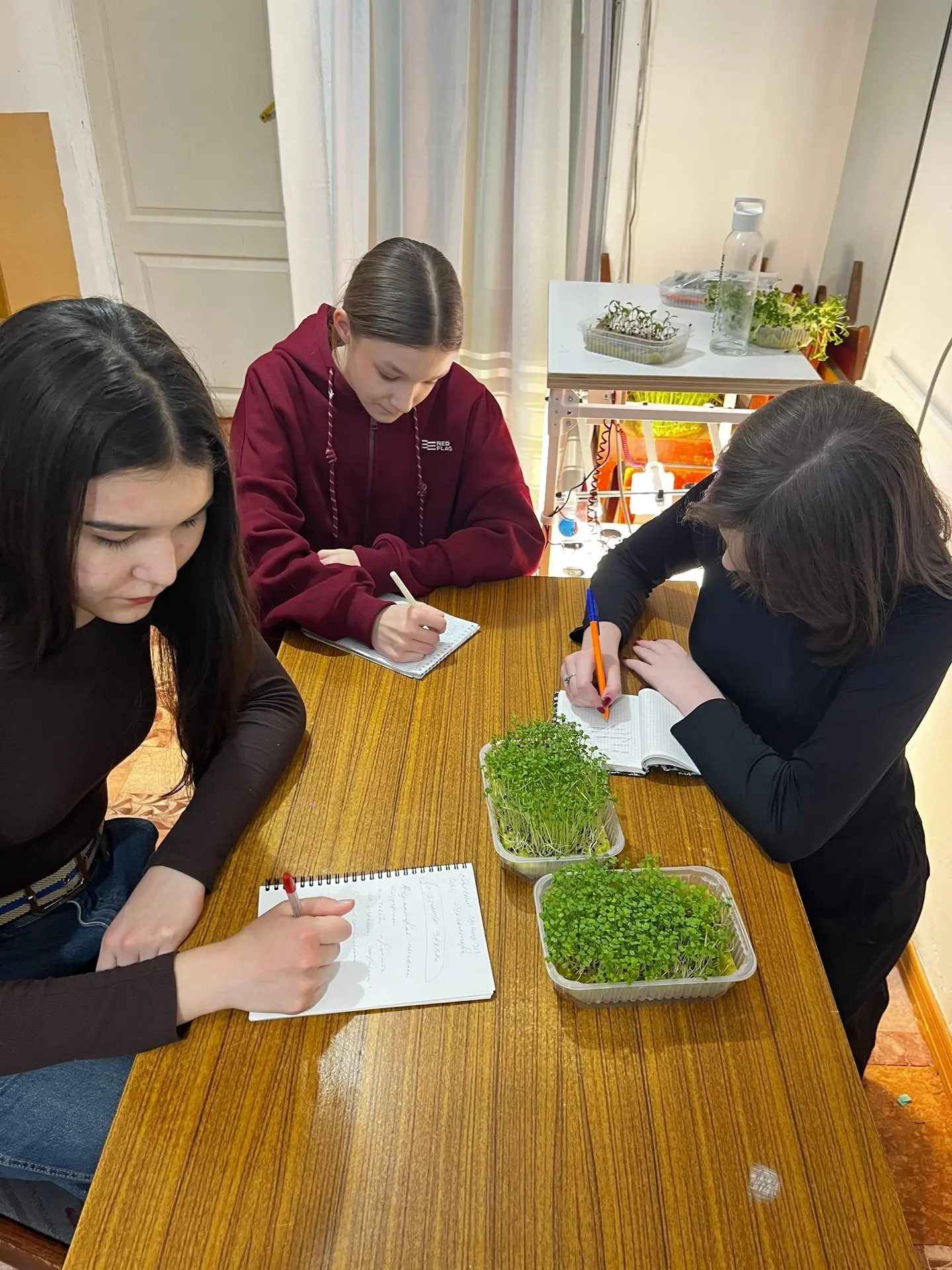 Агрокомплекты в школе: где учеба встречается с бизнесом! 🌱