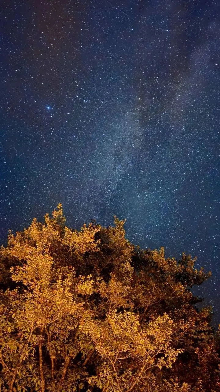 😍Прямо сейчас в горах Сочи