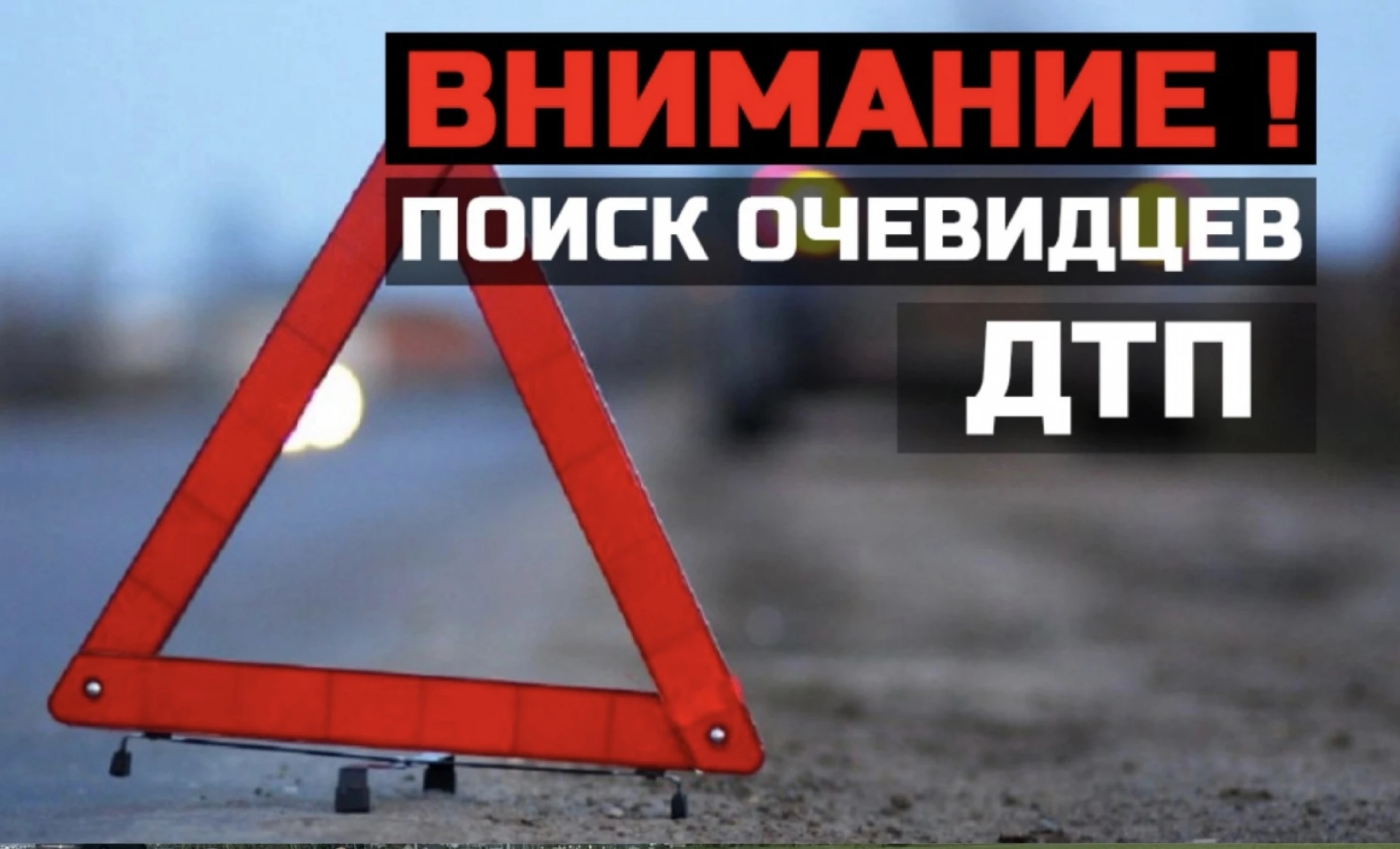 На трассе возле Рузаевки найден обезображенный труп человека с оторванными конечностями