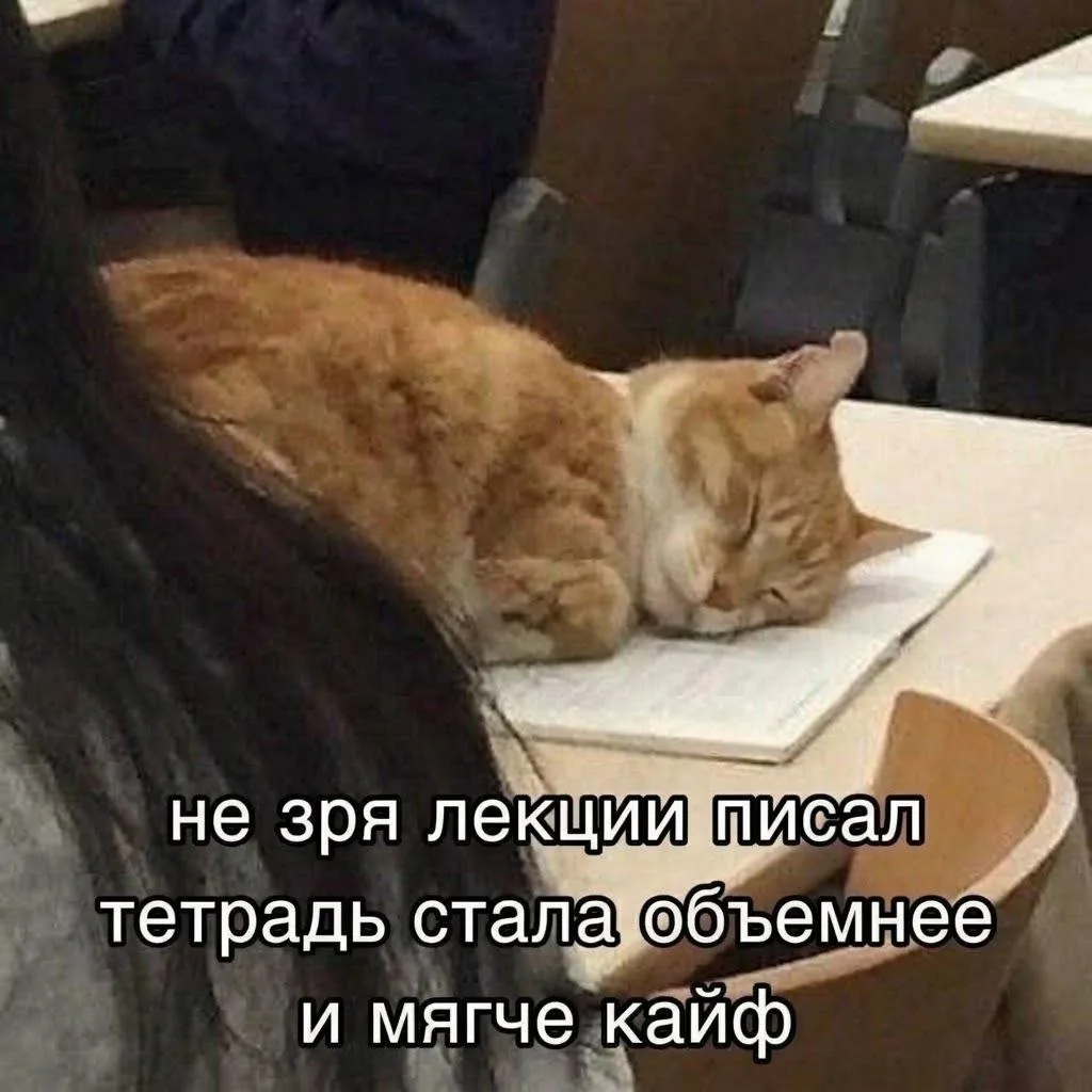 Всем бодрого (или не очень) дня! 💫