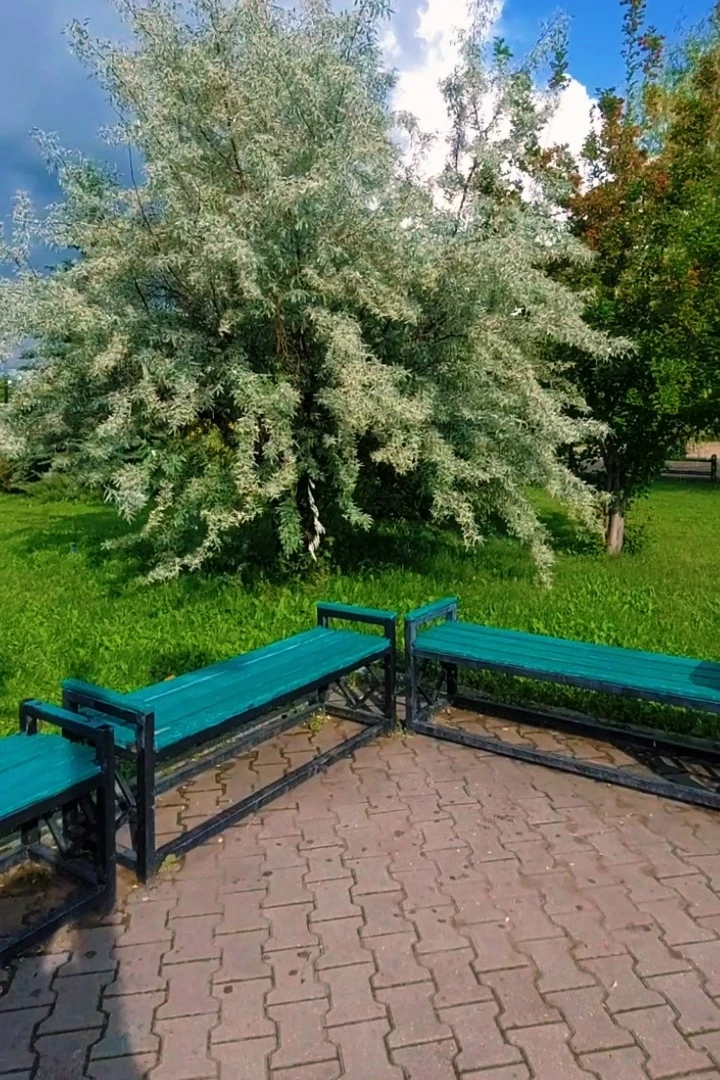Парк.