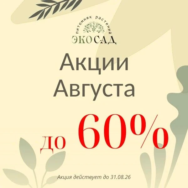 ⏳ ОСТАЛАСЬ РОВНО НЕДЕЛЯ СУПЕР-СКИДОК АВГУСТА!