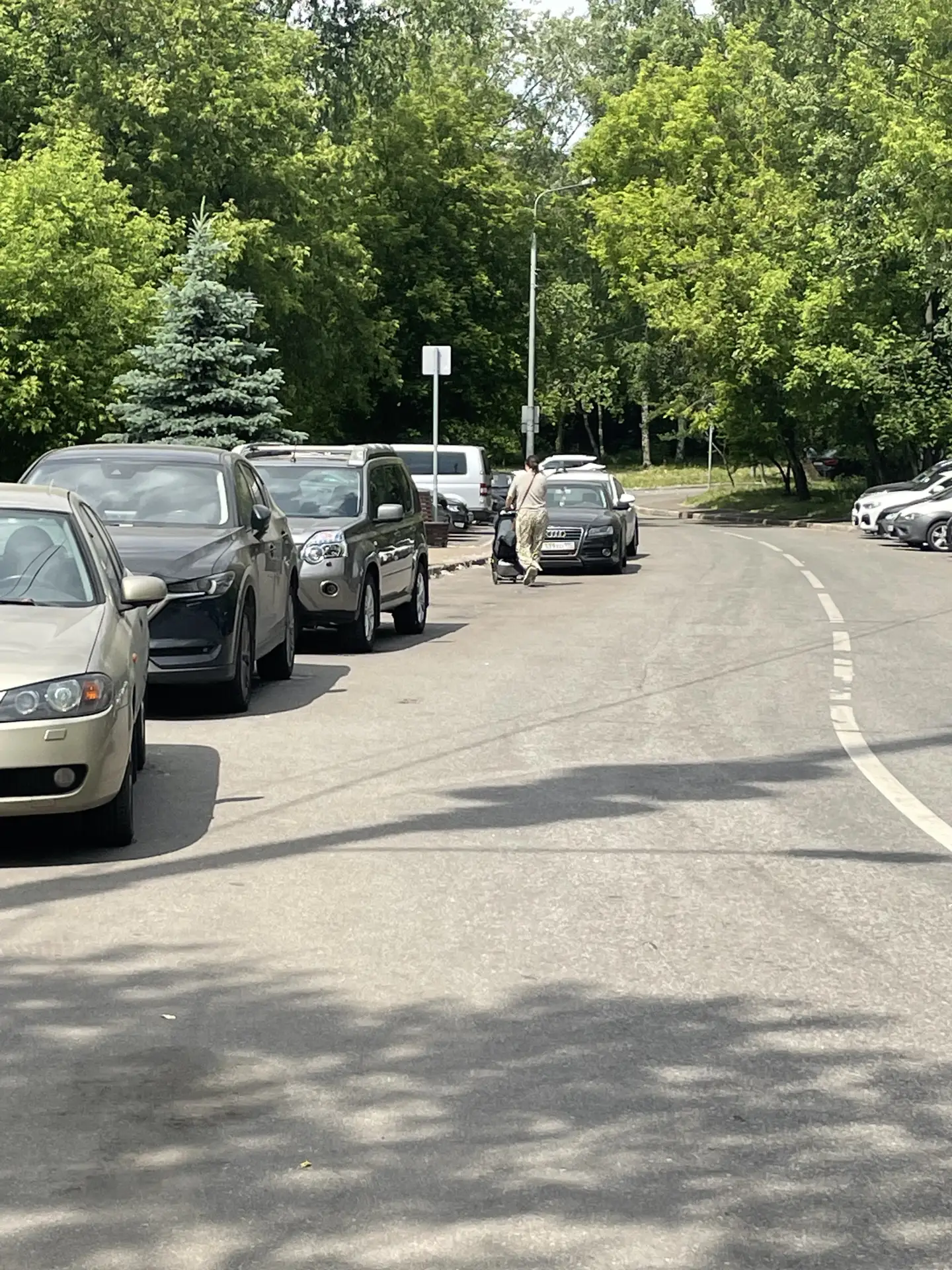 Дорога в парк не должна быть опасной

В штаб ЛДПР в СВАО обратилась жительница Свиблова Людмила Миха