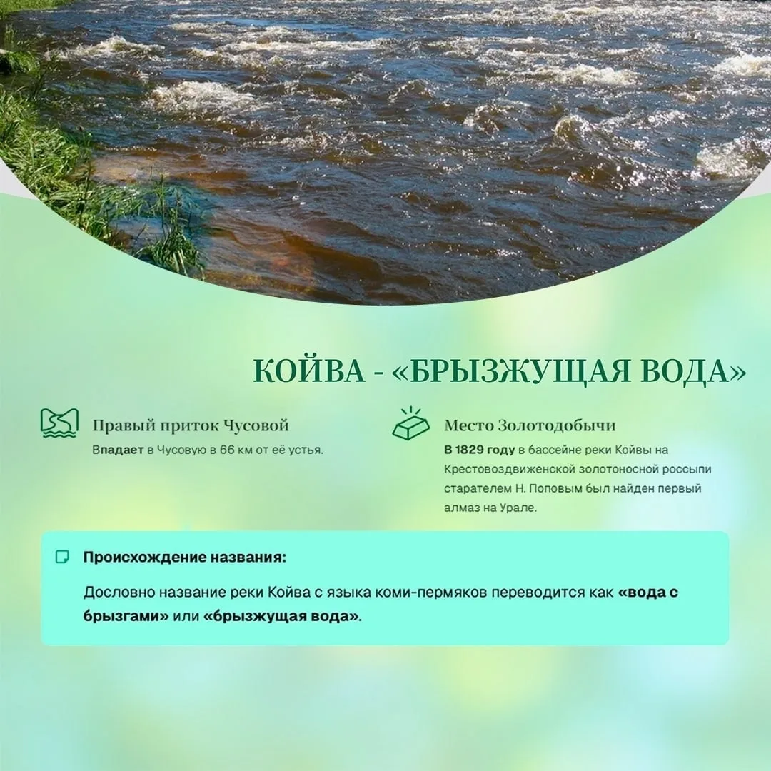 🌊 Что объединяет крупные реки в Пермском крае?  Школьники из Гимназии №2 г. Перми в рамках проекта «