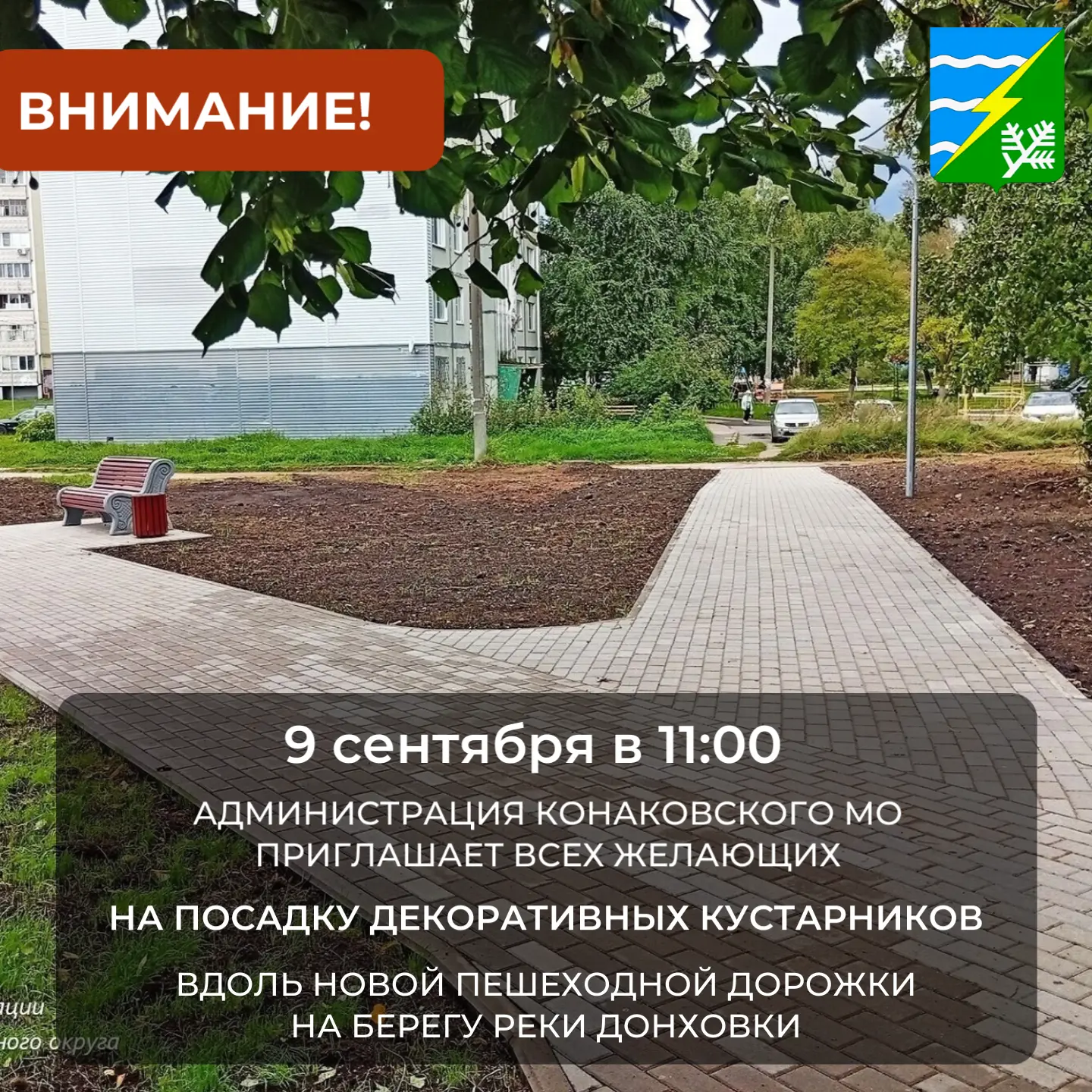 Сделаем наш город зеленее