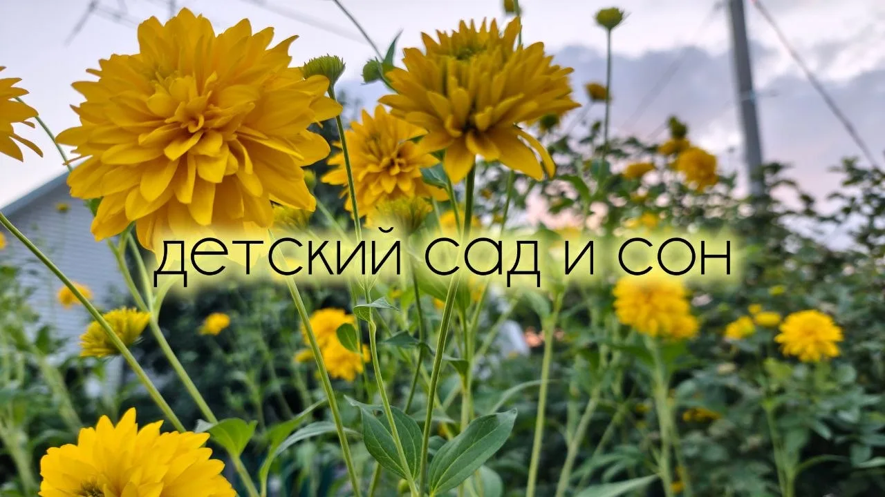 ПОРА В ДЕТСКИЙ САД: 5 важных моментов, как подготовить малыша к садику