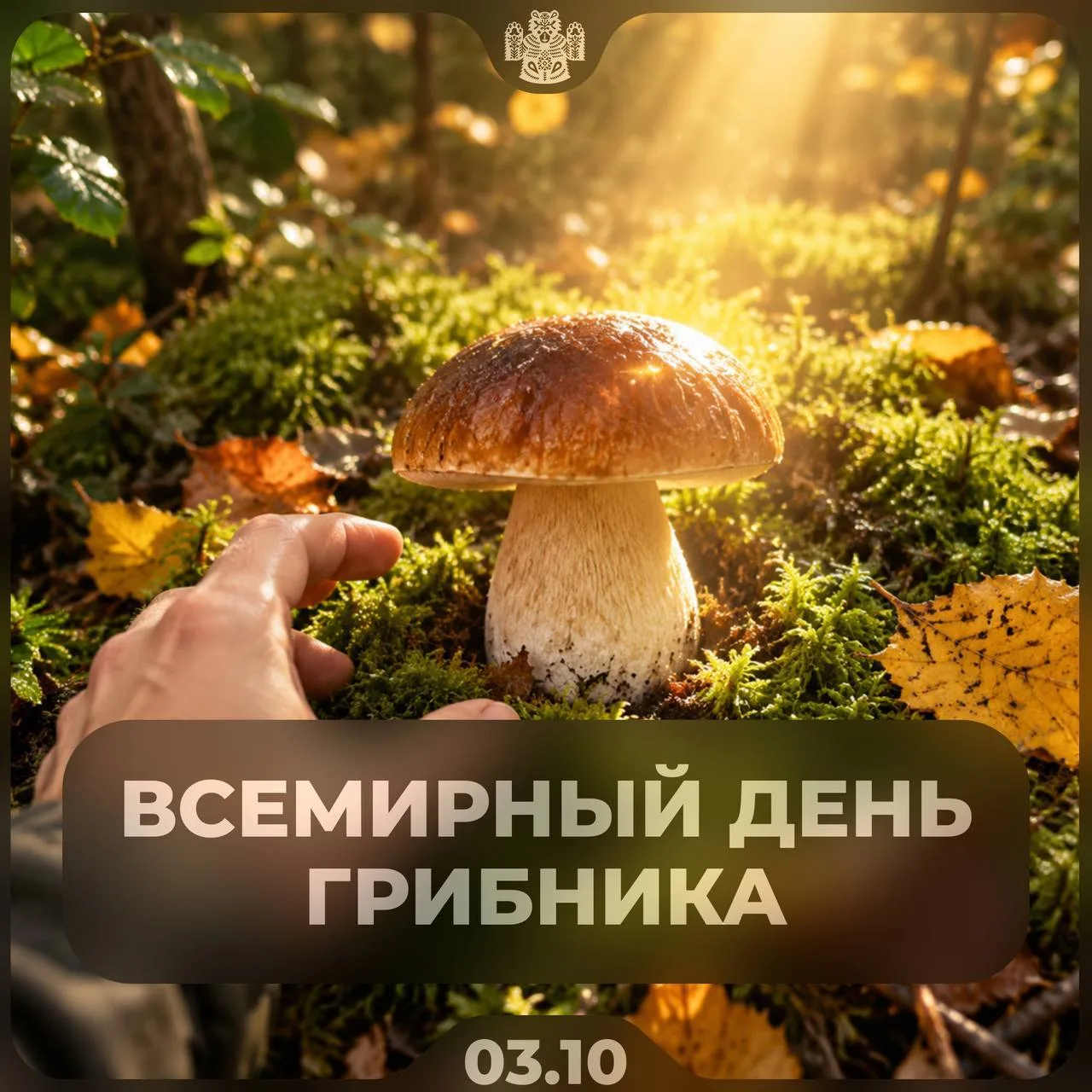 Сегодня отмечают Всемирный день грибника. 3 октября — отличный повод вспомнить про тиху...