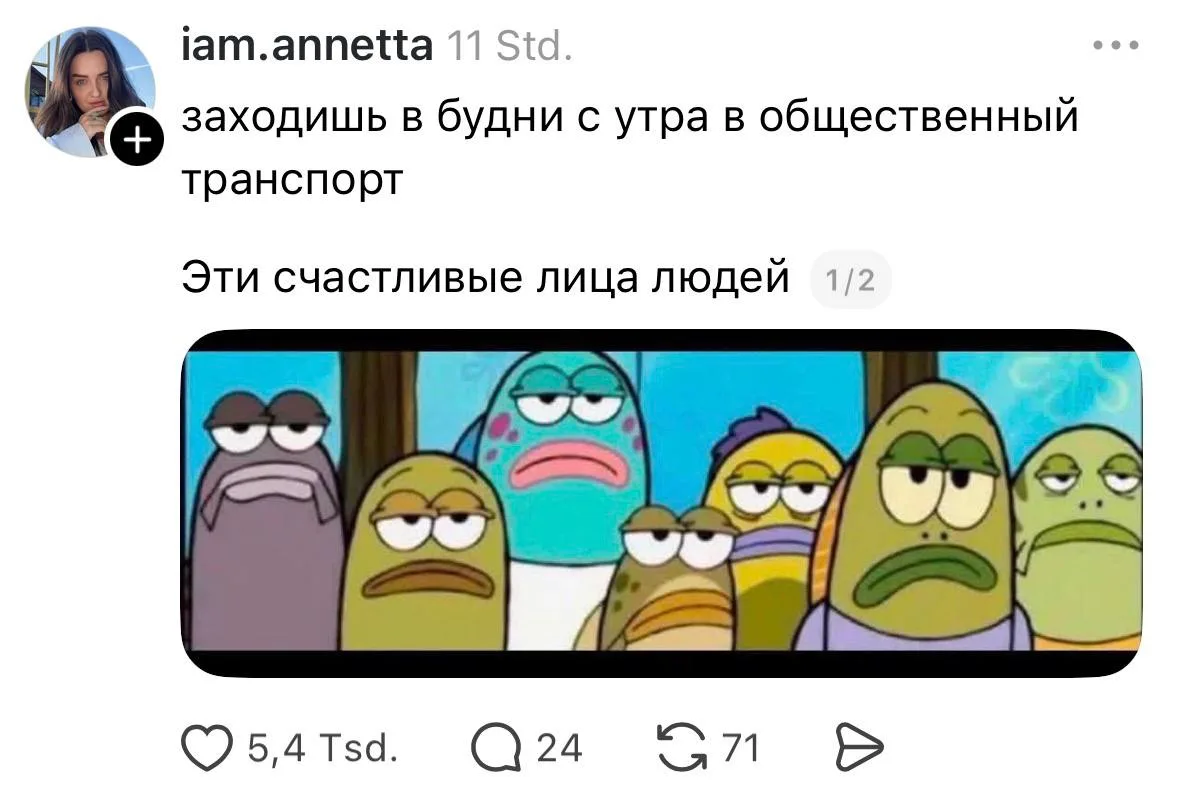Ежедневная рутина, которая ждет нас и завтра ☔️
