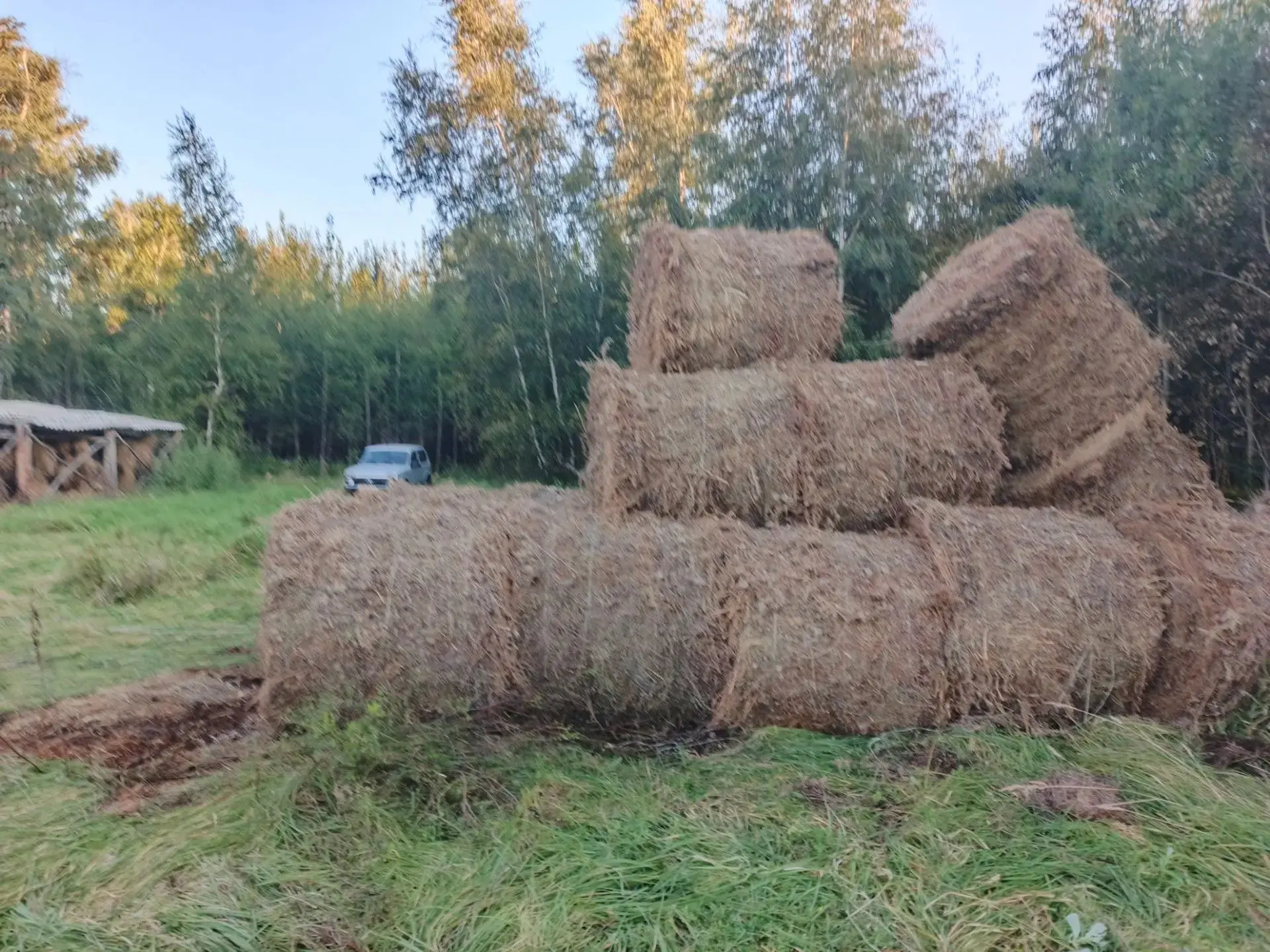 В Яровинском охотничьем угодье Половинского муниципального округа можно полюбоваться ре...