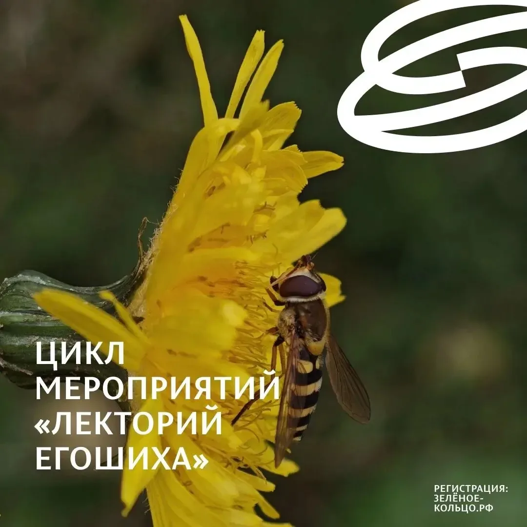 Цикл лекций от ученых пермских вузов