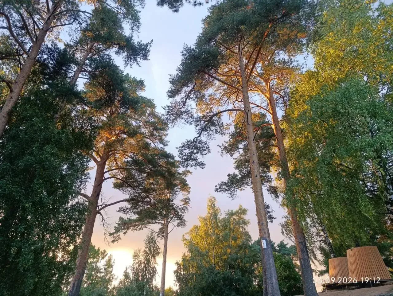 🌅Отличного вечера, Выборгский!