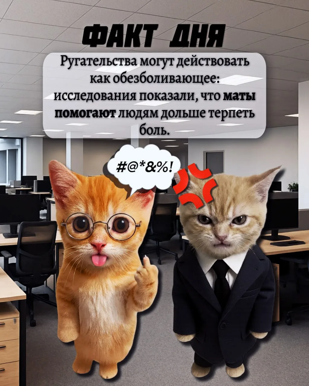 ФАКТ ДНЯ ОТ КОТЯТ 🙀🔥