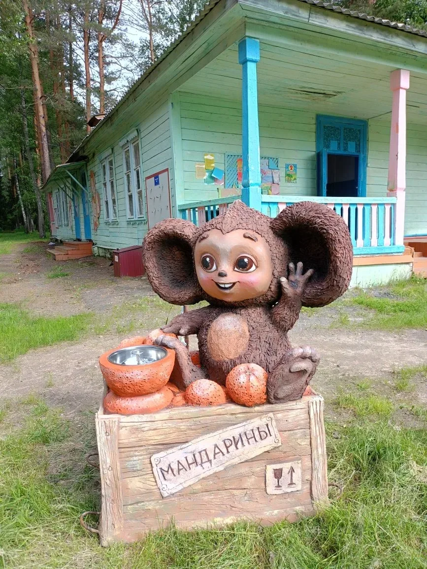 Теперь пить воду — одно удовольствие! 🌲💧