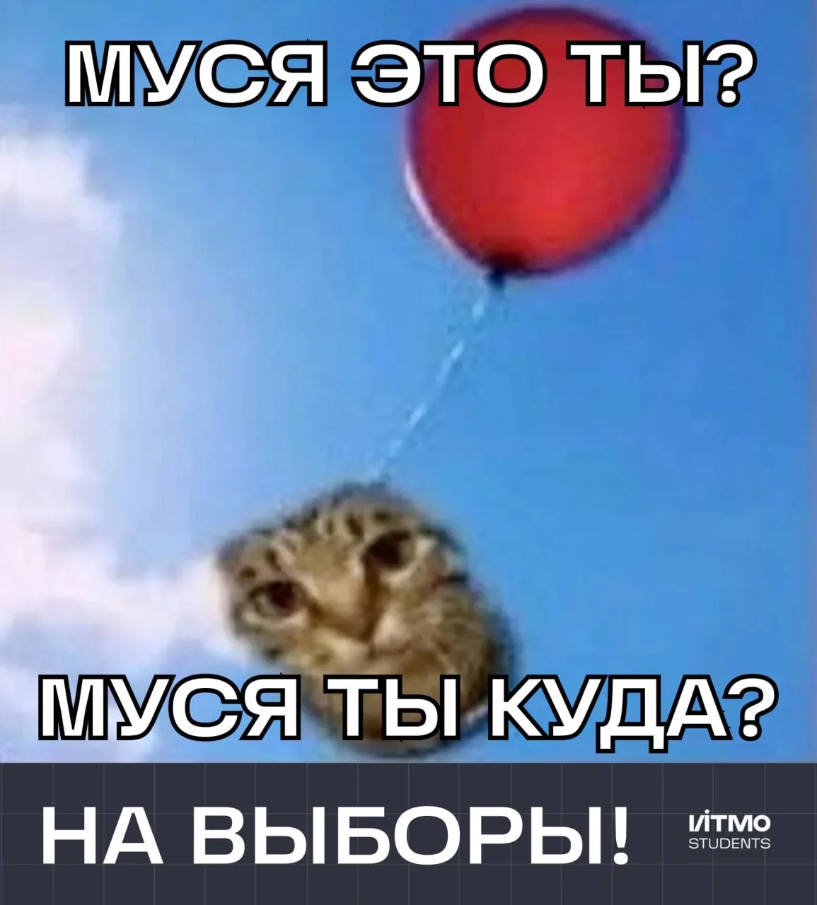 Последний шанс проголосовать!