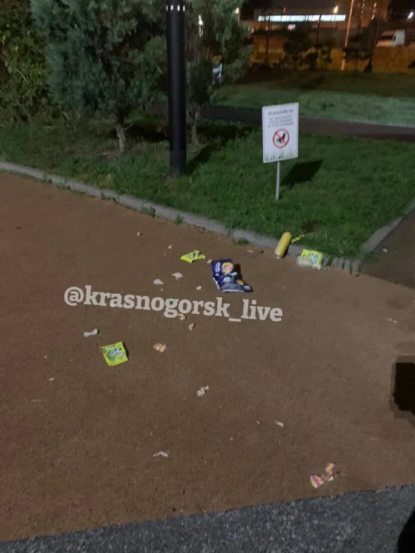 В ЖК «Тетрис» завёлся подросток, который не даёт спокойно жить. Он постоянно кидает мяч...