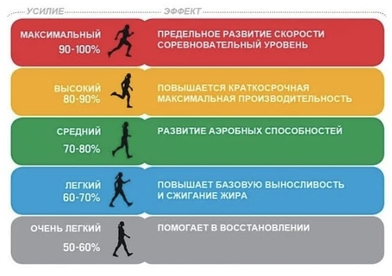 ⏺⏺⏺Что вообще такое "пульсовые зоны"?
