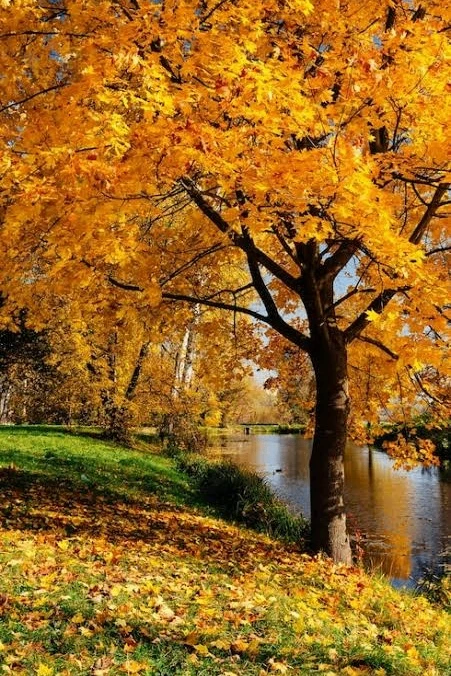 🍁Доброе сентябрьское утро!