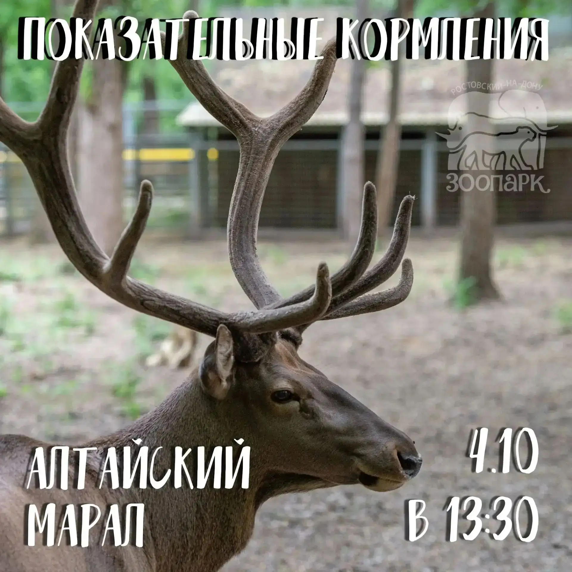 💚 Сегодня Всемирный день защиты животных (День зоопарков)!