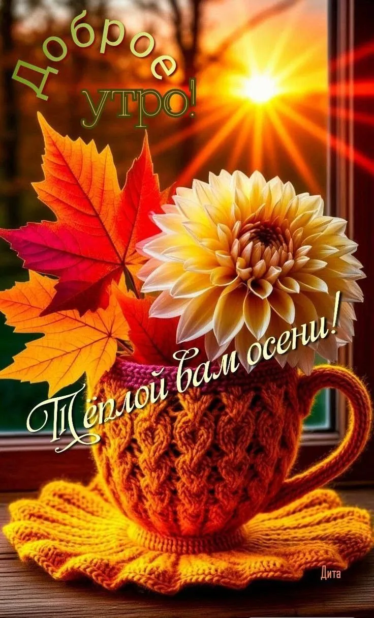 🌞🎉 Чудесного утра! Везения и хорошего настроения!