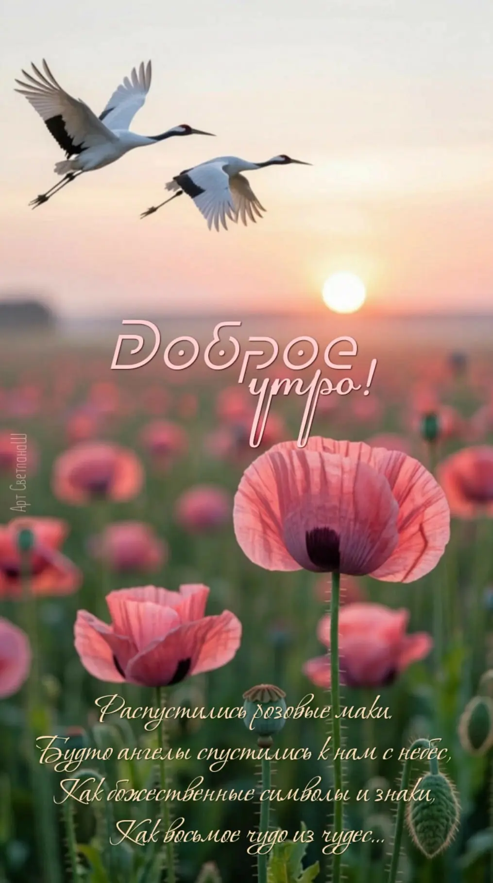 Подпишись 👇
