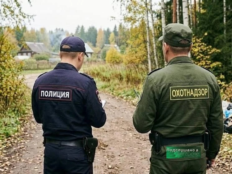 В Приангарье приступили к плановой ликвидации 160 медведей — за то, что они нагло выход...