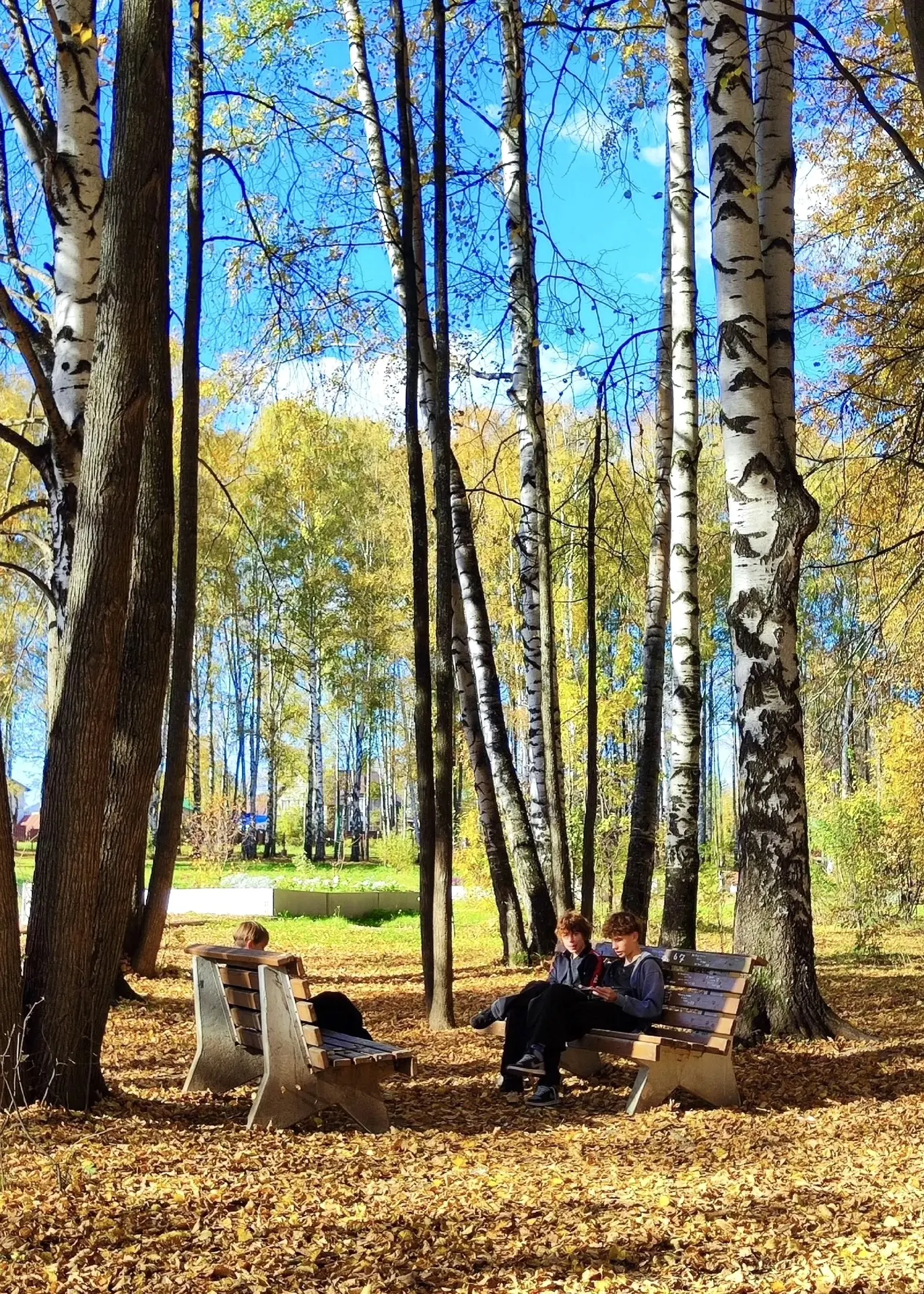 Городской парк Верещагино
