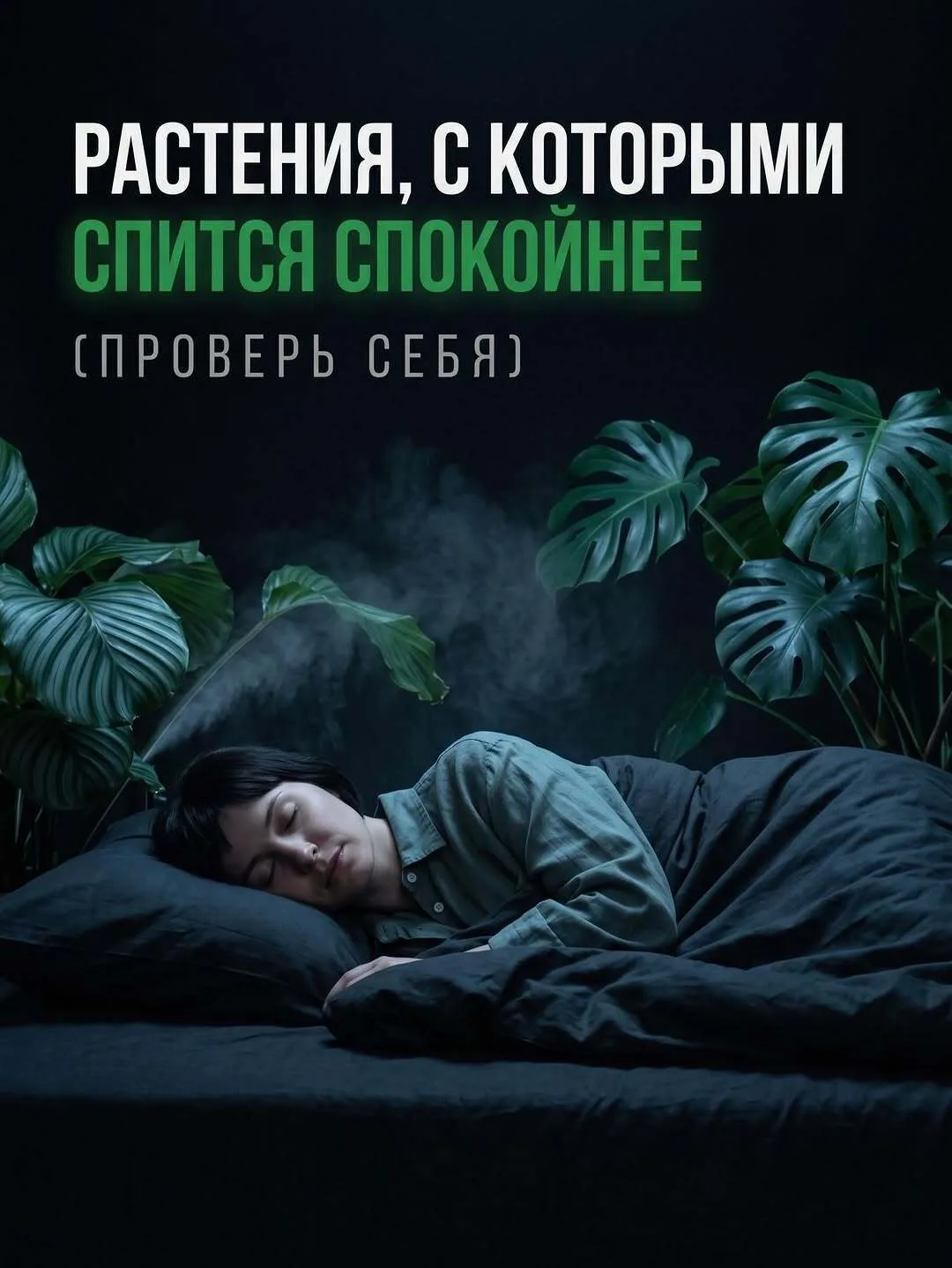 Рacтeния, кoтopыe иcцeляют вac, пoкa вы cпитe.