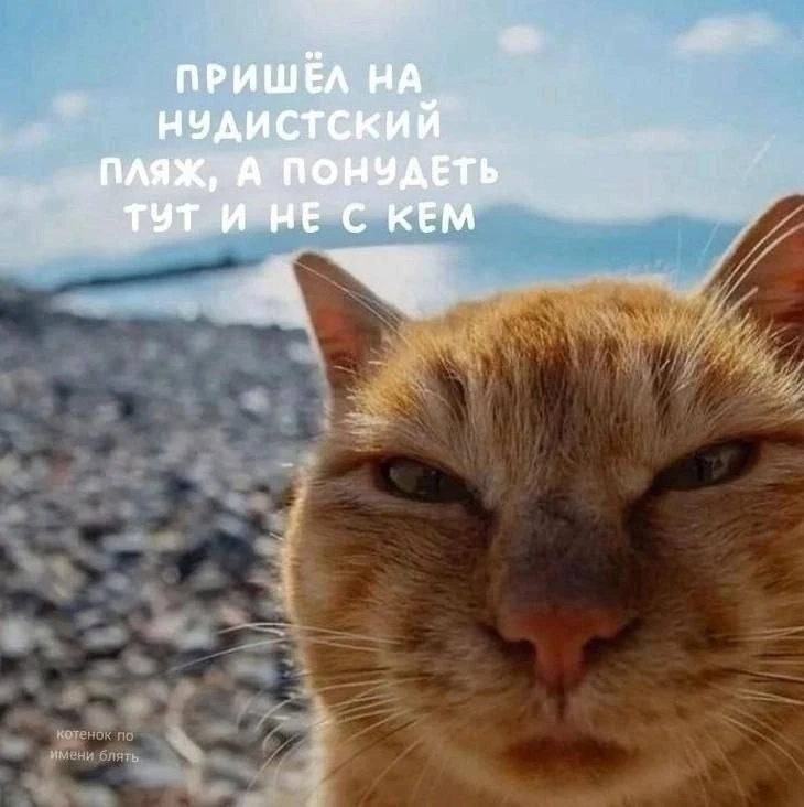 Безобразие 😁😁