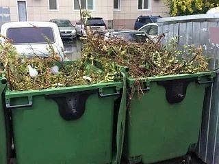 В Саратовской области напомнили о запрете складировать ветки у контейнеров