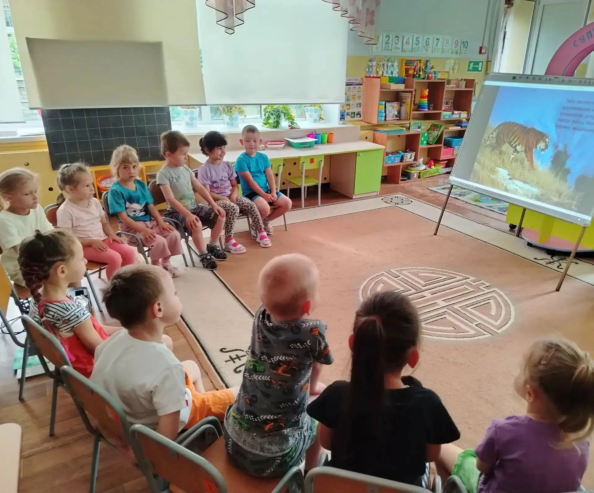 Маленькие защитники больших кошек