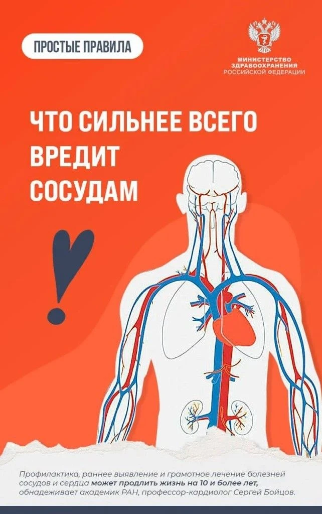 С годами наши сосуды теряют эластичность, а на их стенках может оседать «плохой» холест...