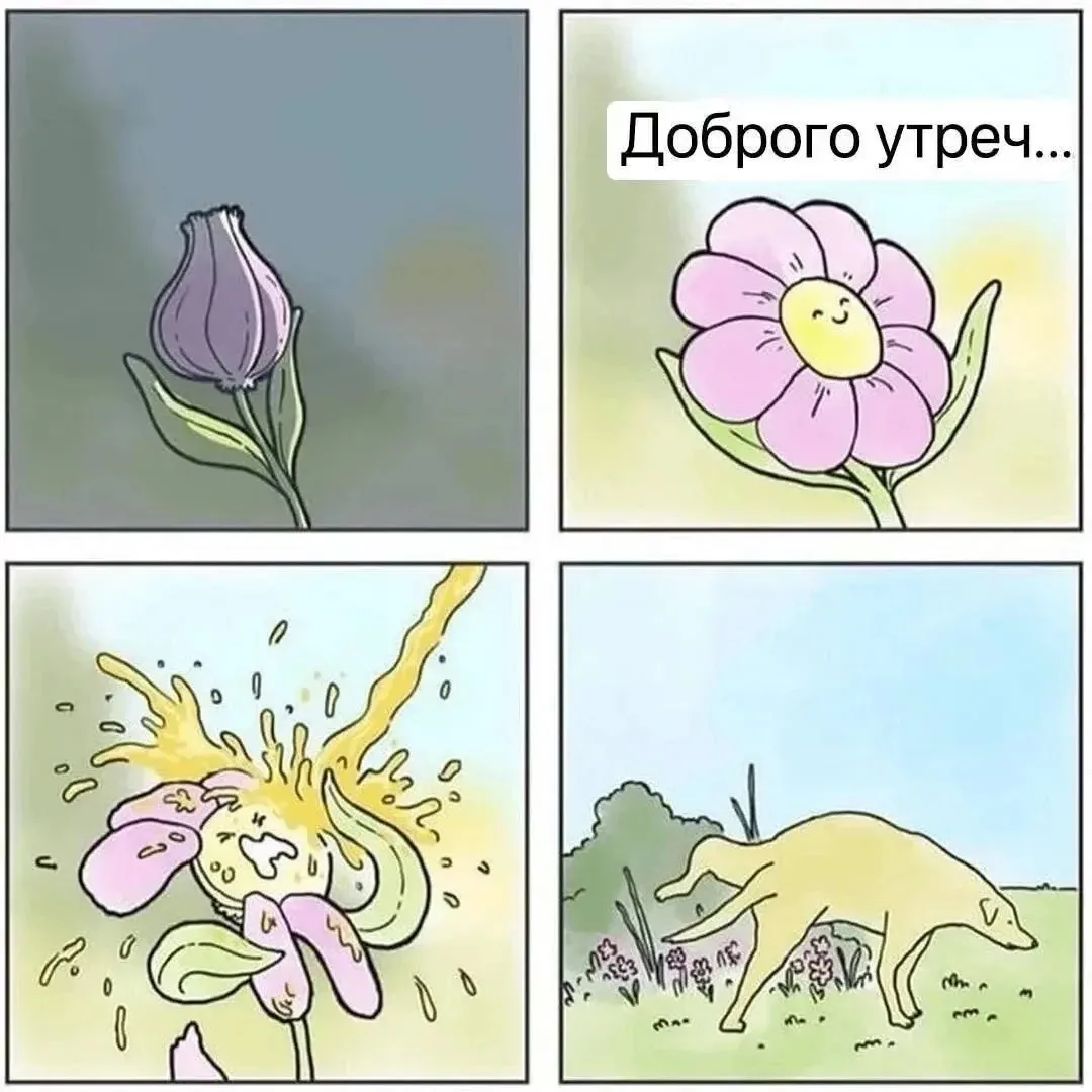 Доброе утро🐱