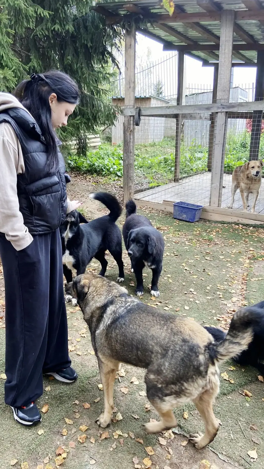 🐶 Сегодня воспитанники стационара вновь побывали в приюте для животных «Бубасти» 🐾